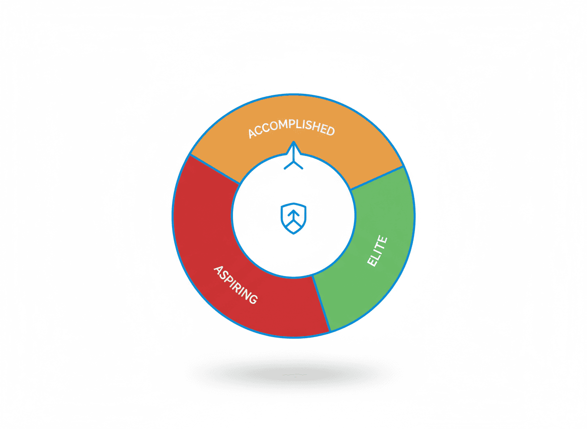 Donut chart showing coaching system segments